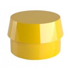 rhein yellow.jpg