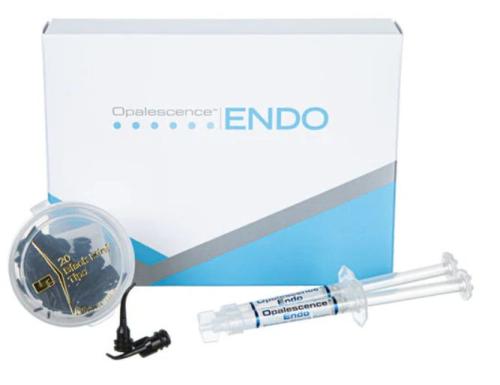 endo.jpg