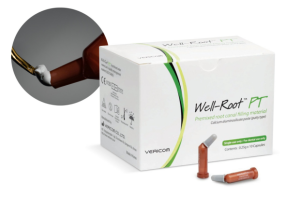 Wellroot PT (putty type) 10x 0.25g kampiułki