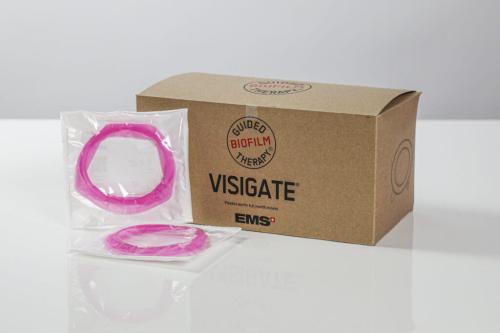 visigate.jpg