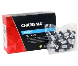 Charisma Easy 20x0.25g Kulzer (E4SY)