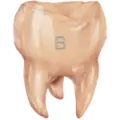 PODBARWIACZ_COLOURANT_B-150x150.png