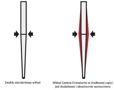 cadena endo.jpg