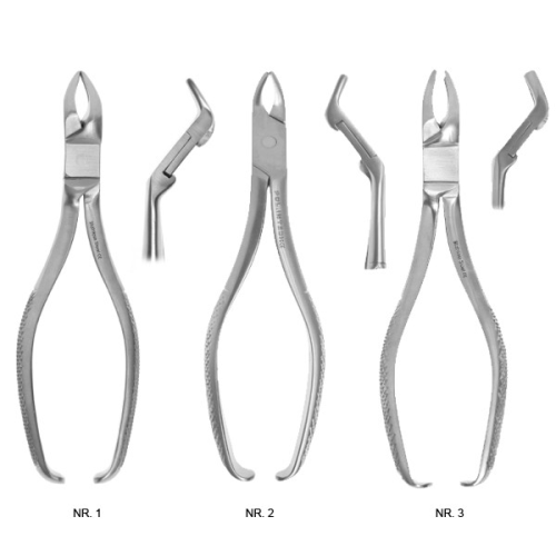 Kleszcze Meissner.png