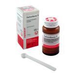 Endomethasone N 14g